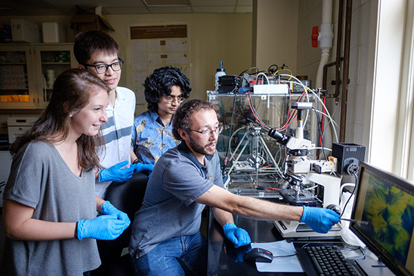 Wake Forest students work in the research lab of physics professor Oana Jurchescu in Olin Hall.